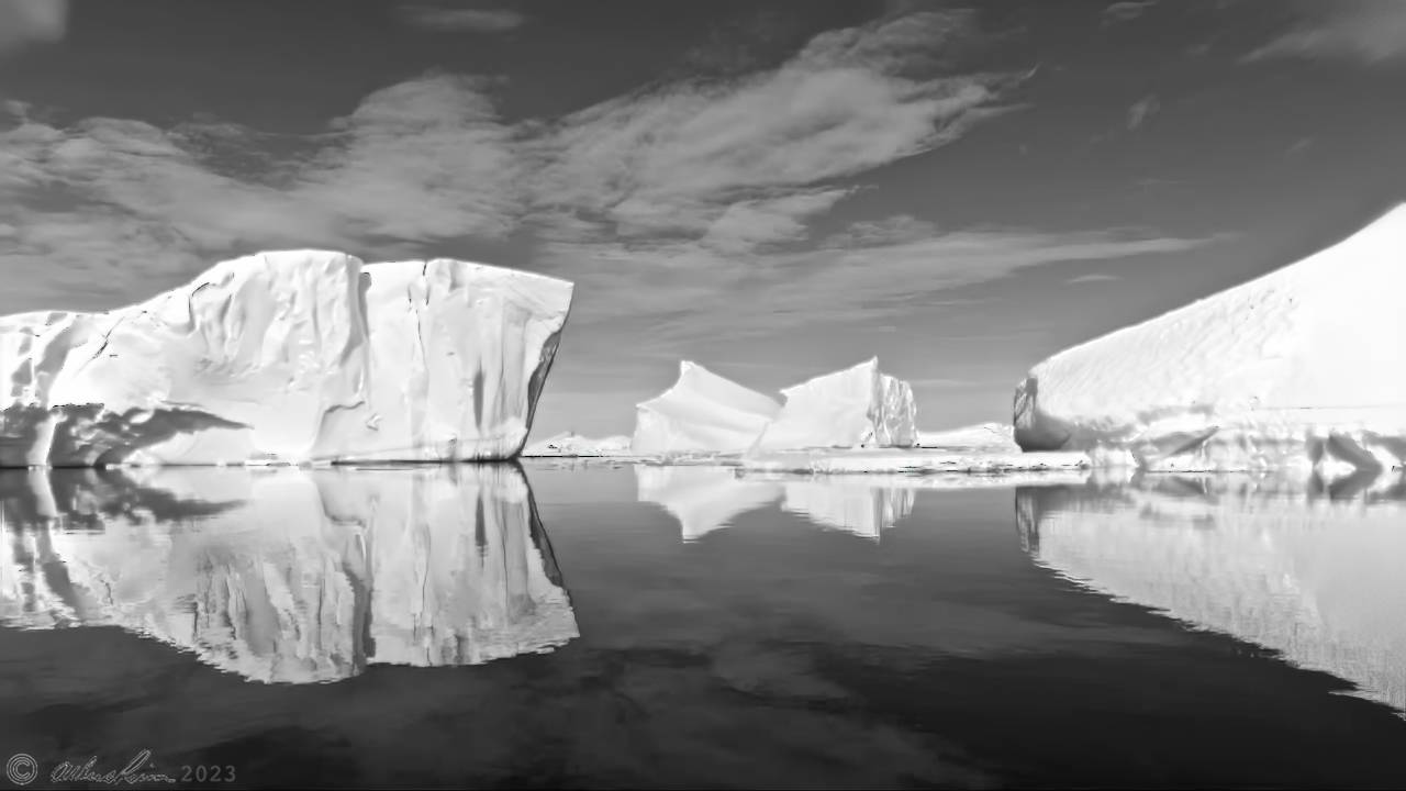 Icebergs reflecting in the calm icy waters of the Antarctic Peninsula