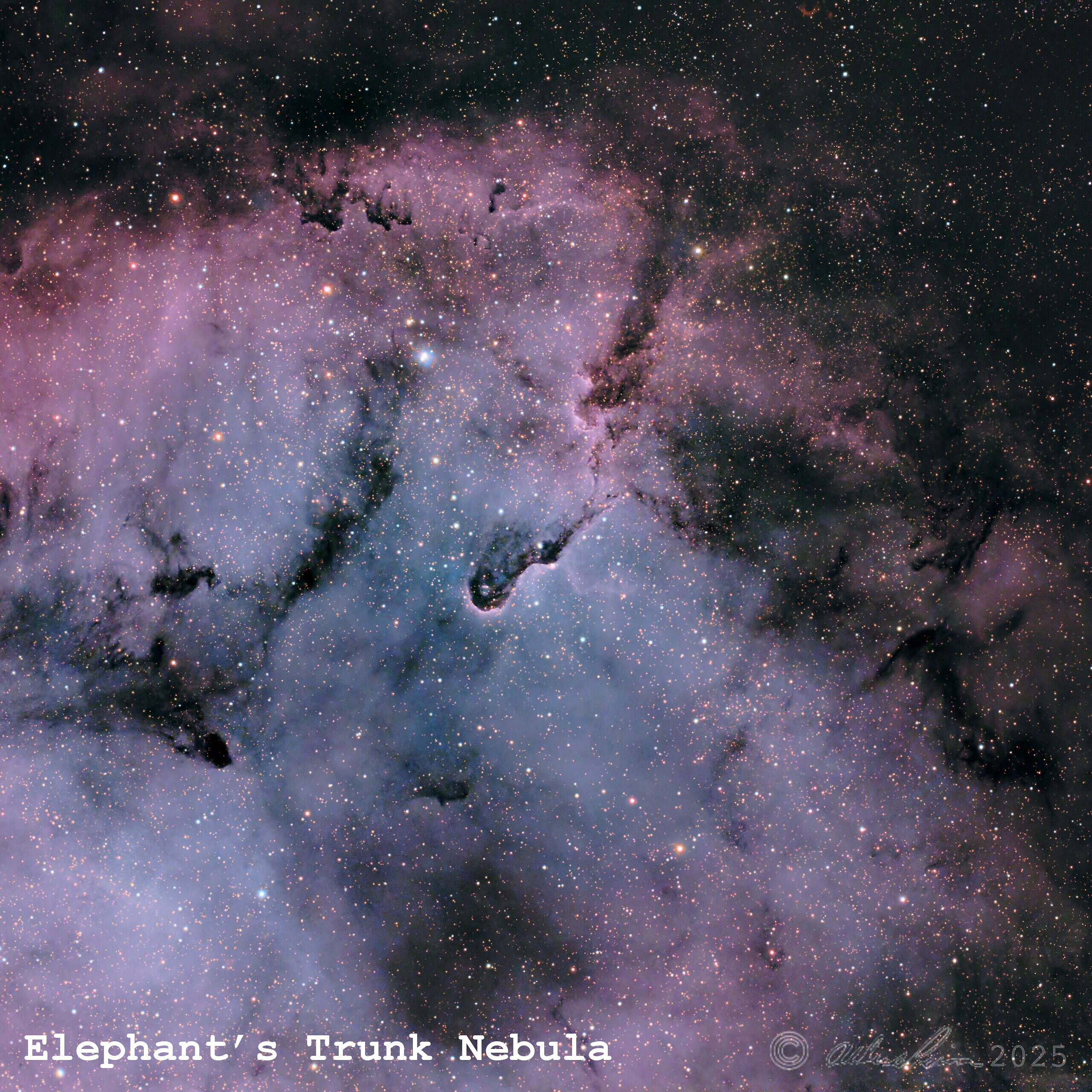 Elephant’s Trunk Nebula