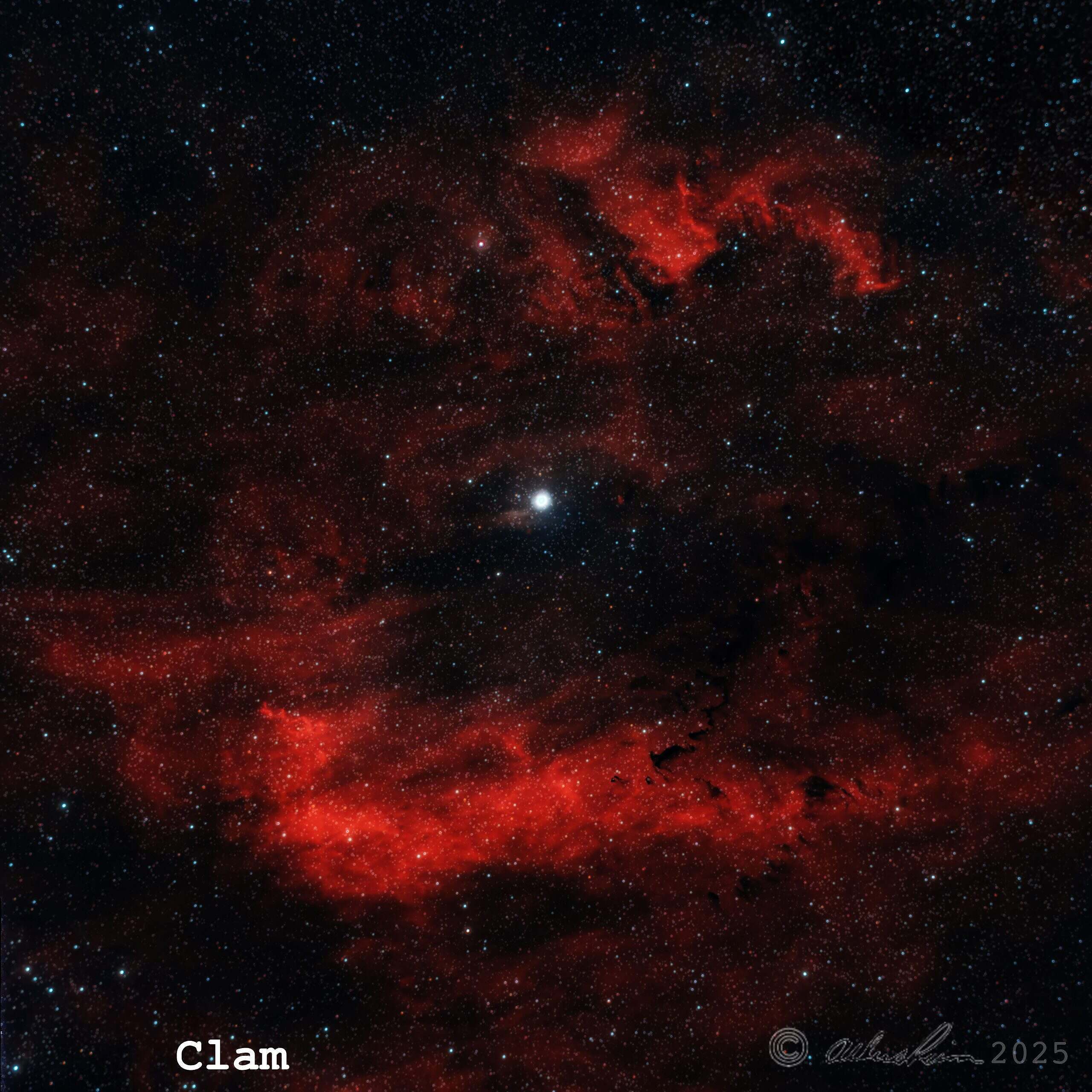 Clam Shell Nebula