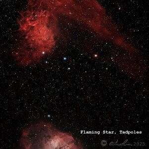 Flaming Star and Tadpoles Nebulae