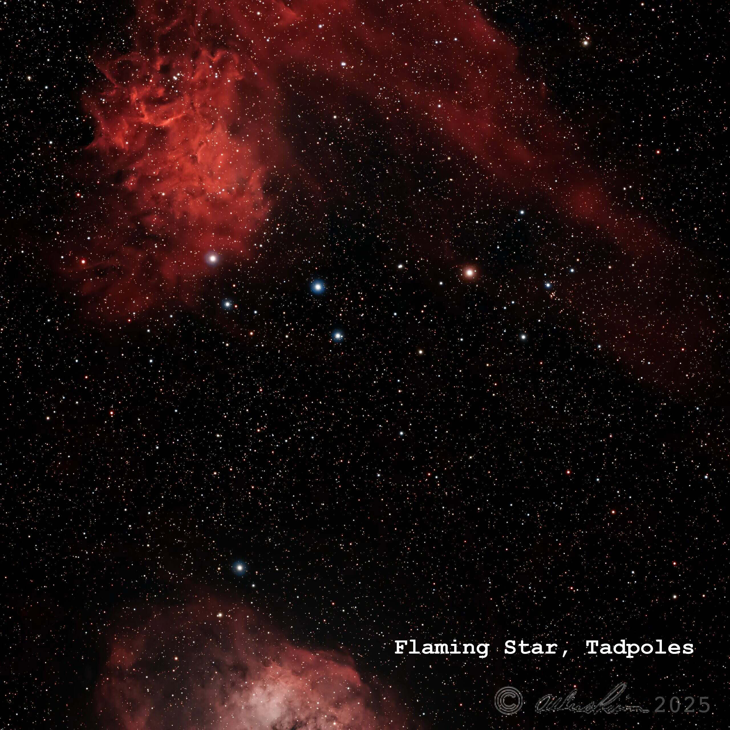 Flaming Star and Tadpoles Nebulae