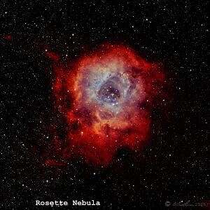 Rosette Nebula