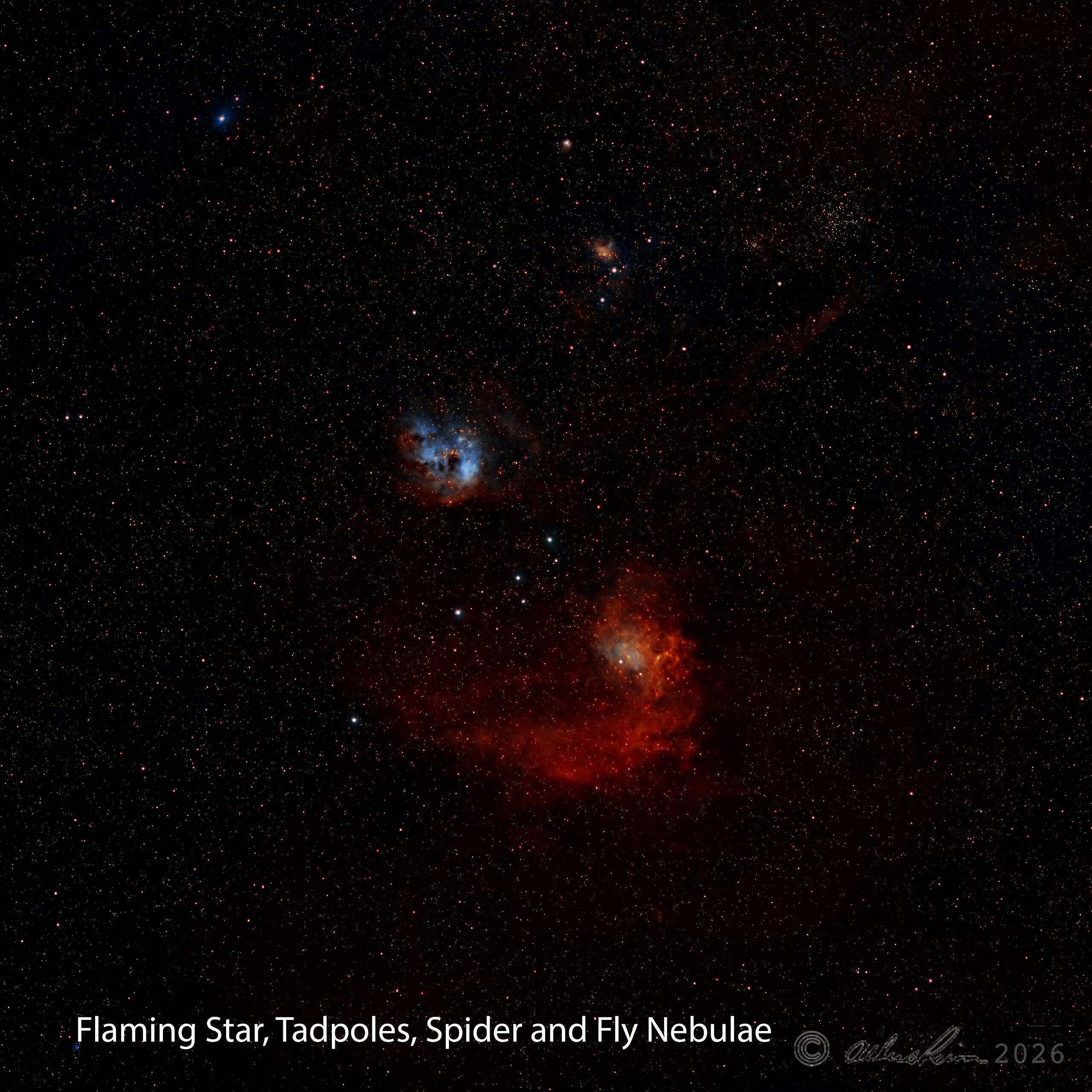 Flaming Star, Tadpoles, Spider, Fly nebulae