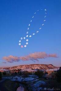 Lunar Analemma