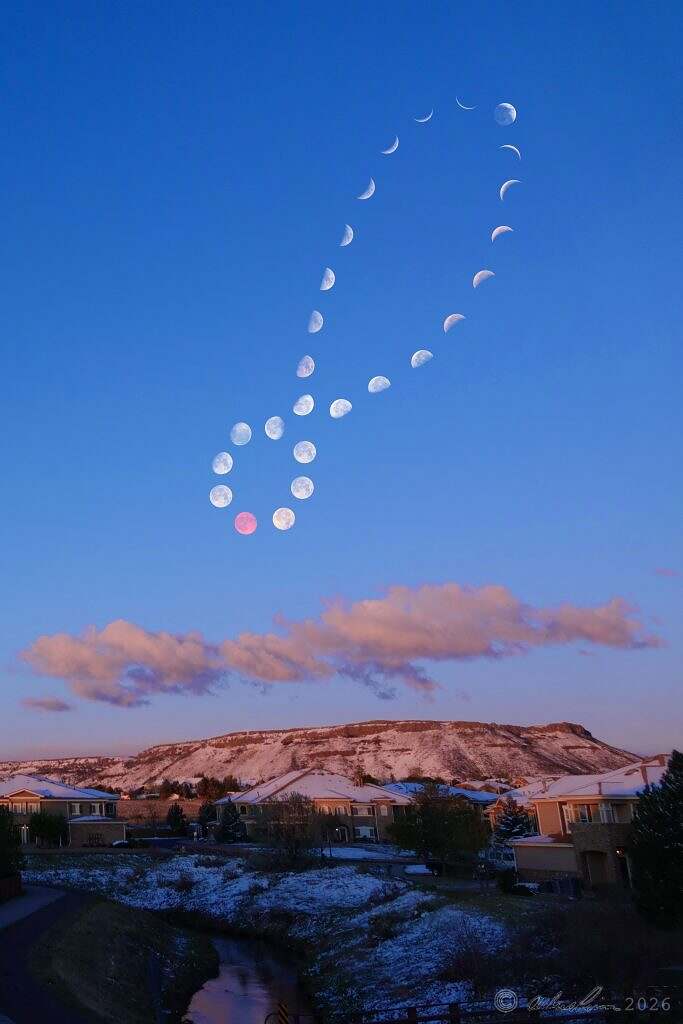 Lunar Analemma