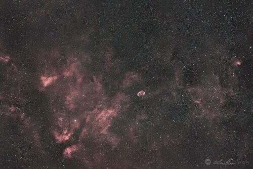 Crescent and Butterfly nebulae, wide field